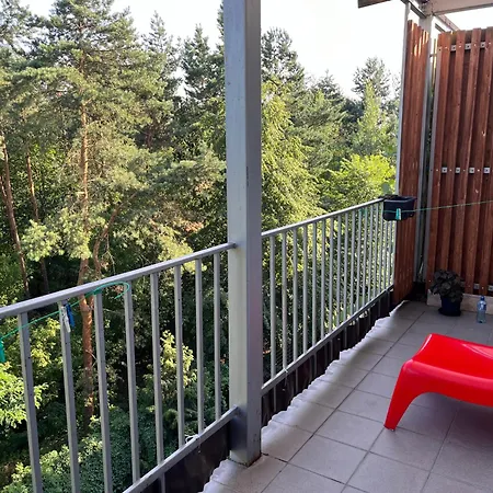 3 Gen Boleslawa Roi *