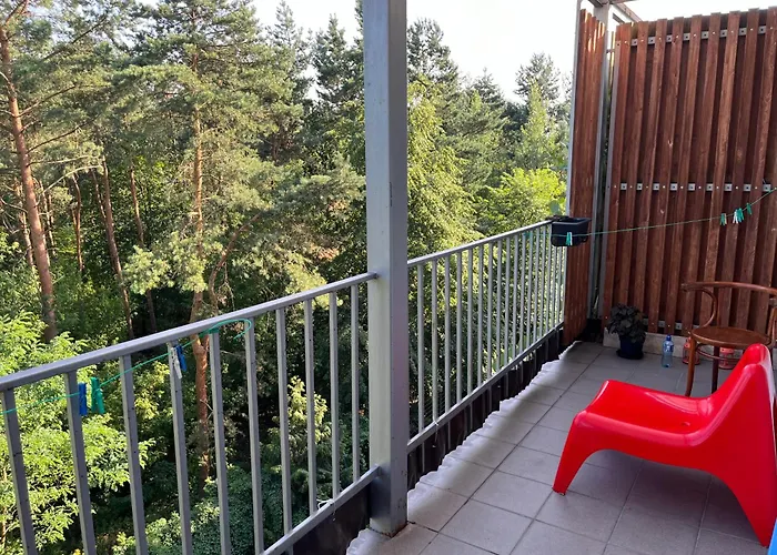 3 Gen Boleslawa Roi *